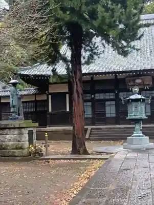 南蔵院(東京都)