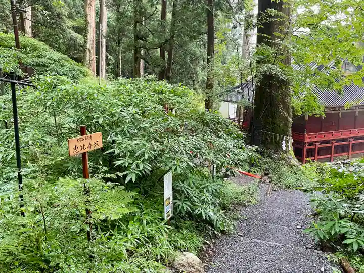 日光二荒山神社(栃木県)