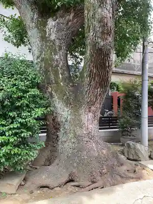 玉林寺(東京都)