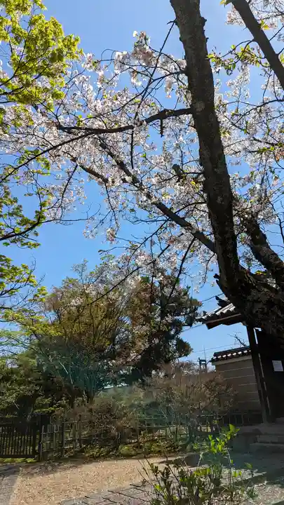 法金剛院(京都府)