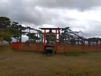唐崎神社(滋賀県)