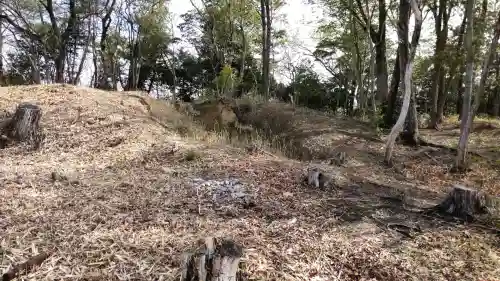 富雄丸山古墳の{uncategorized: "未分類", other: "その他", undefined: "問題あり", building: "その他建物", grave: "お墓", sacred_gate: "鳥居", guardian: "狛犬", statue: "像", buddha: "仏像", history: "歴史", nature: "自然", garden: "庭園", animal: "動物", pagoda: "塔", temizu: "手水舎", mountain_gate: "山門・神門", sanctuary: "本殿・本堂", subordinate: "末社・摂社", art: "芸術", scenery: "景色", jizo: "地蔵", ema: "絵馬", goshuin: "御朱印", omikuji: "おみくじ", items: "授与品その他", amulet: "お守り", goshuincho: "御朱印帳", eats: "食事", festival: "お祭り", votive_dance: "神楽", shichigosan: "七五三参", wedding: "結婚式", experience: "体験その他", initially: "初詣", around: "周辺", anti_infection: "感染症対策"}