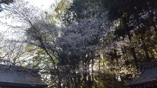 天神神社の自然