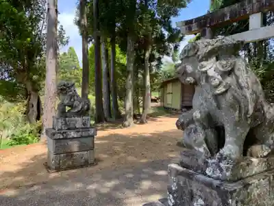 瀧口神社の狛犬