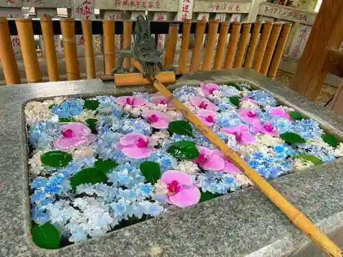 高円寺氷川神社の手水