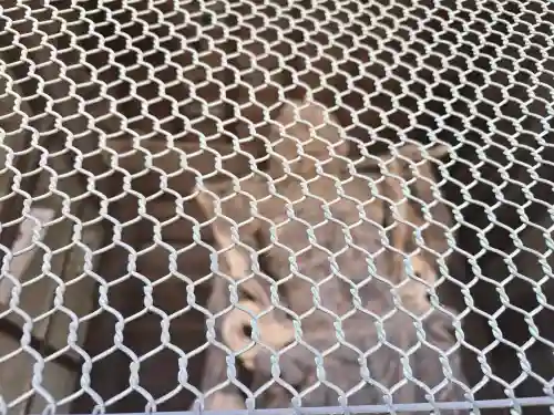 長谷寺(奈良県)