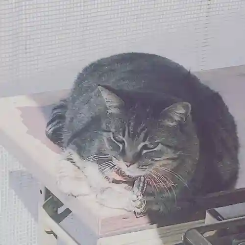 前玉神社の動物