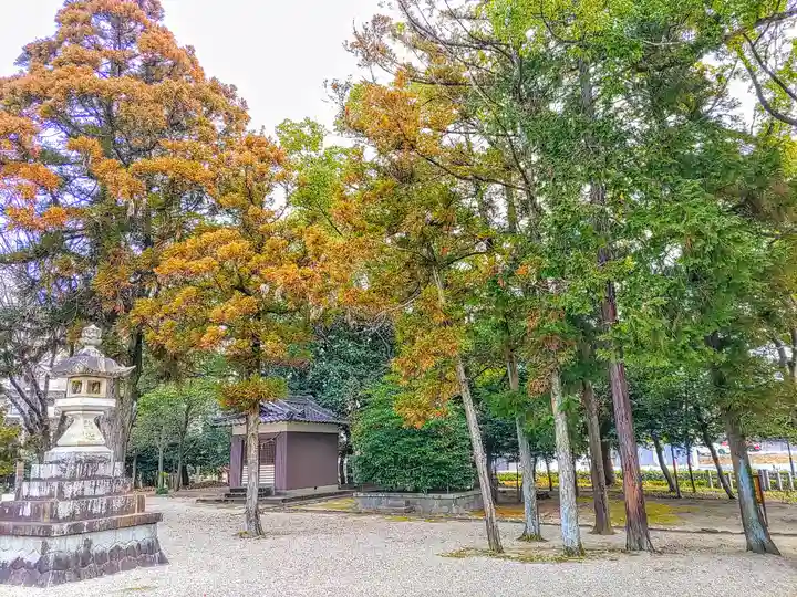 鹿島神社(大林鹿島神社)の自然