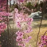 豊景神社の自然