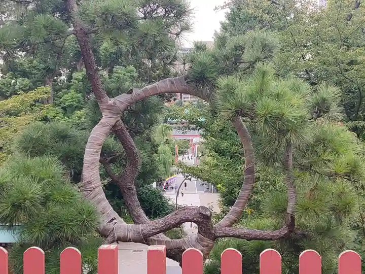 清水観音堂(東京都)