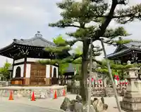 観音寺のその他建物