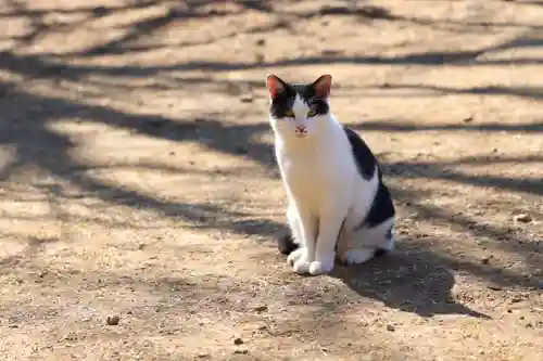 玉野御嶽神社(愛知県)