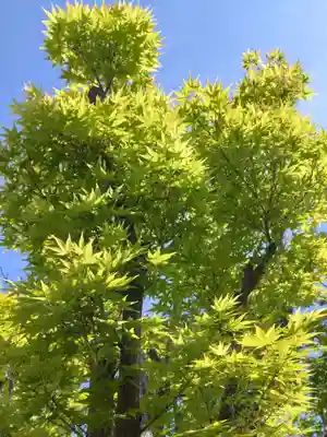 寿量山 速成寺(奈良県)