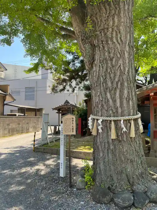 取手八坂神社(茨城県)
