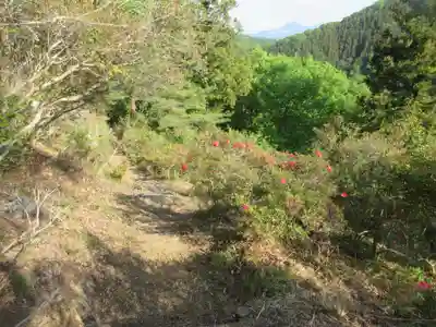 正福寺別当米山薬師堂(埼玉県)