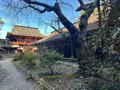 吉野水分神社（吉野町）(奈良県)