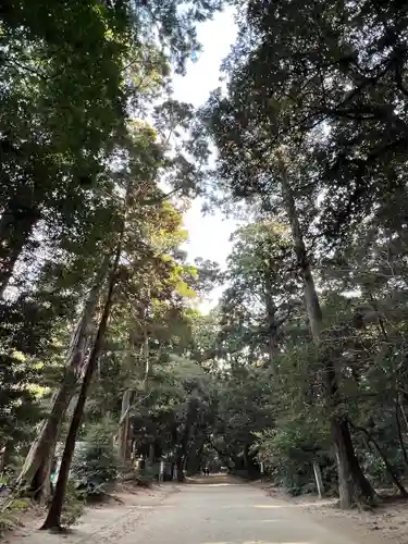 鹿島神宮(茨城県)