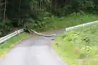 三春大神宮の自然