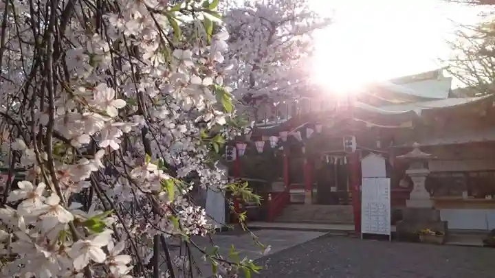 居木神社(東京都)