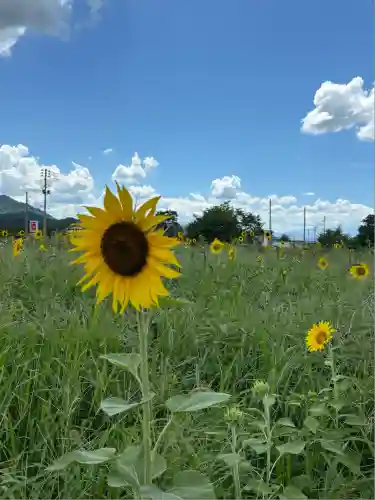 安久津八幡神社(山形県)