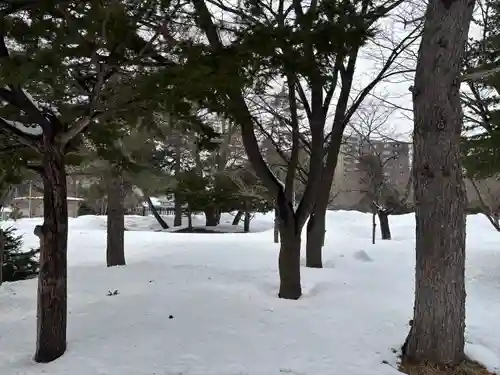 札幌護國神社の自然