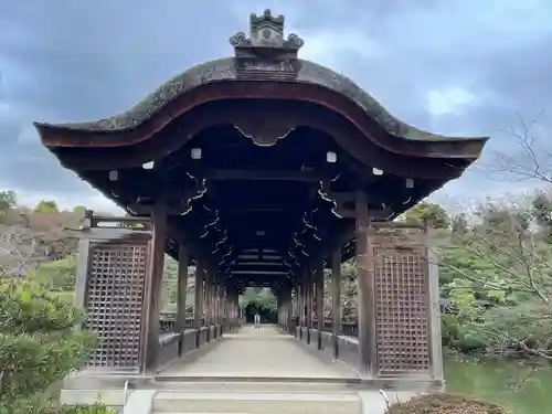 平安神宮(京都府)