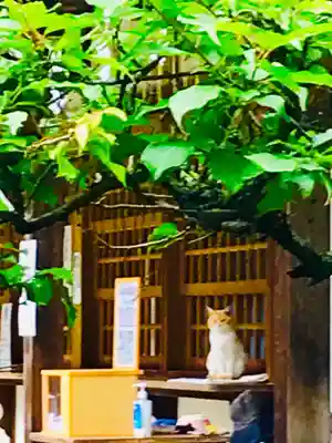 大生郷天満宮のその他建物