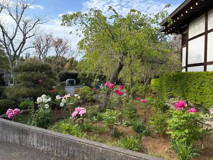 西光院(千葉県)
