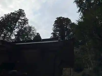 大宮温泉神社(栃木県)