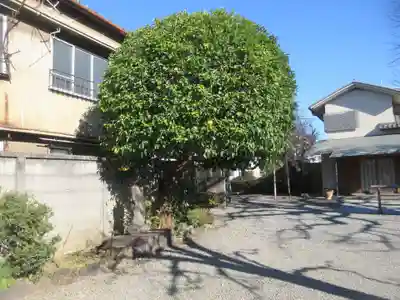寿昌寺（壽昌寺）(東京都)