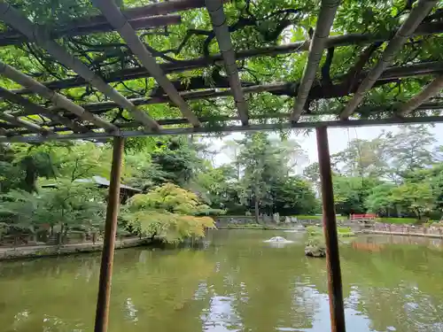 越ヶ谷久伊豆神社の庭園