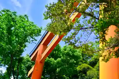 川越氷川神社(埼玉県)