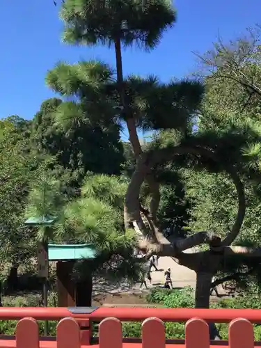 清水観音堂の自然