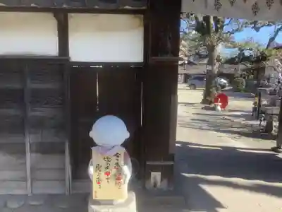 四季桜の寺 妙乗院の山門・神門