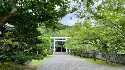 安房神社の鳥居