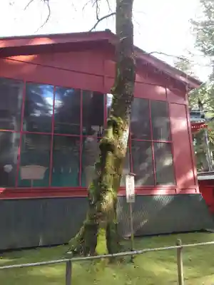 日光二荒山神社(栃木県)