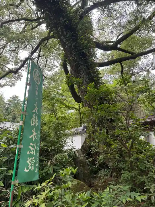 賀茂神社(愛知県)