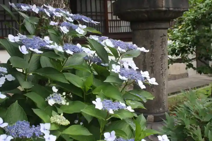 六孫王神社(京都府)