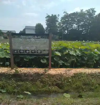 梁川八幡神社(福島県)