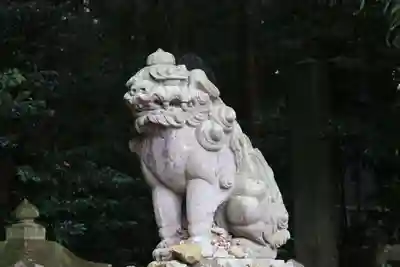 菅船神社の狛犬
