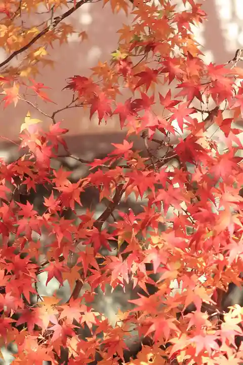 天龍寺(京都府)