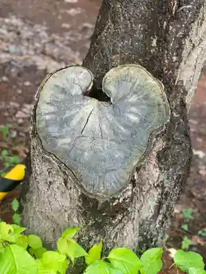 大谷地神社(北海道)