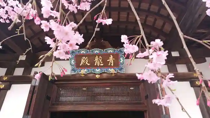 将軍塚青龍殿(青蓮院門跡)のその他建物