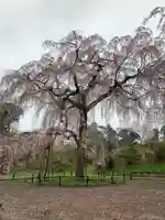 福星寺(千葉県)