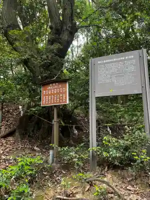 美具久留御魂神社(大阪府)
