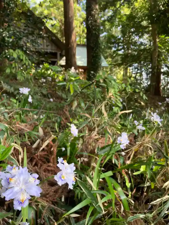 愛宕神社(福島県)
