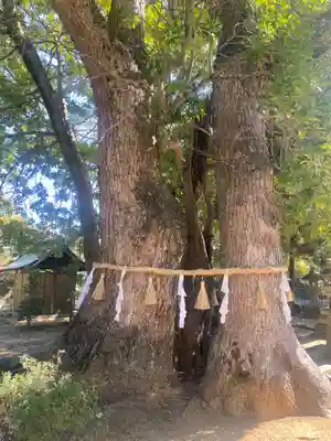 加茂神社(大阪府)
