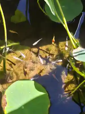 来福寺(福島県)