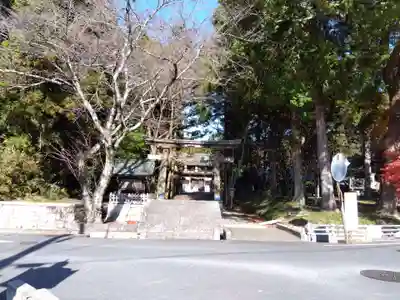 柏木神社(滋賀県)