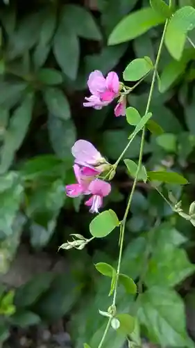 梨木神社(京都府)
